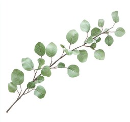 Light green, delicate branch with small leaves.  Artificial foliage.  Perfect for home decor