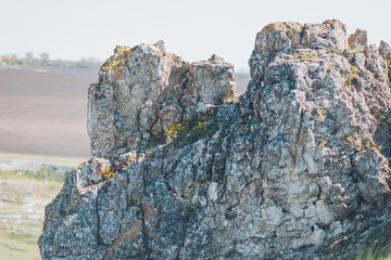 Unique rock formation adorned with vibrant moss in a serene countryside setting during a sunny afternoon