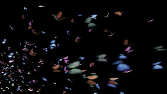 優雅に空を舞う蝶々の群れ