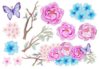 Luxury floral oriental style isolated element  design butterfly with peony flower, cherry blossom garden