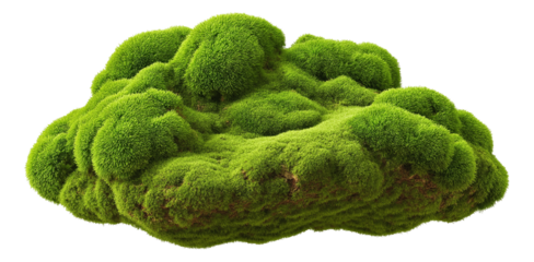 A lush, green patch of natural moss with a fluffy texture, showcasing its dense and vibrant growth on transparent background.