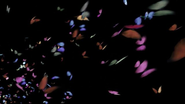 優雅に空を舞う蝶々の群れ