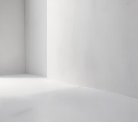 Subtle texture, soft light, ethereal white backdrop,  element,  mood