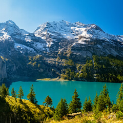Oeschinensee lake with snow Bluemlisalp mountain on sunny summer day. Panorama of the azure lake Oeschinensee, pine forest in Swiss alps, Kandersteg. Switzerland.