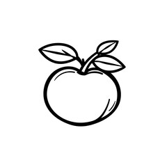 black and white verities fruit  line art vector