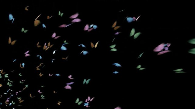 優雅に空を舞う蝶々の群れ