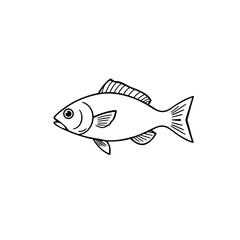 Fototapeta premium black and white verities fish line art vector