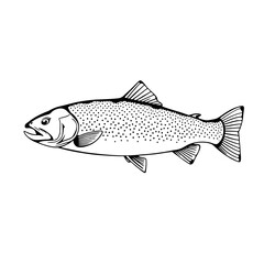 Detailed Fish Sketch Art