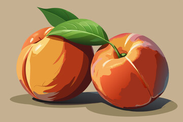 Two Ripe Peaches with Green Leaf Still Life Illustration