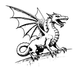 Polish Basilisk medieval dragon hand drawn vector in engraved style