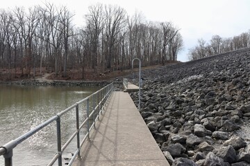 The pathway next to the lake in the woods.