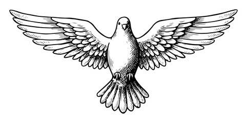 peaceful flying dove with spread wings hand drawn in symbolic engraved style