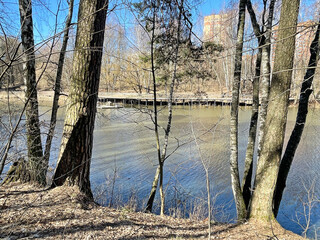 Beautiful spring landscape. Trees on the banks of the Pekhorka River in Balashikha in April