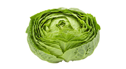 Fototapeta premium Fresh, vibrant green cabbage head isolated on a clean background, showcasing its layered leaves and crisp texture