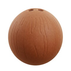 3D Whole Coconut Fruit