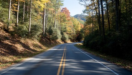 Obraz premium Winding road through colorful autumn forest