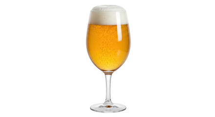 Isolated Glass of Beer