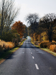 Obraz premium countryside road in autumn with colorful trees and blue sky in background