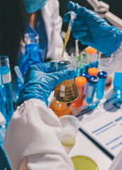Scientist pipetting medical samples into microplate in laboratory