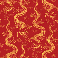 Obraz premium dragon pattern vector design
