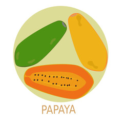Set of 3 papayas including ripe and unripe papayas are tropical fruits with seeds. Vector illustration isolated on white background