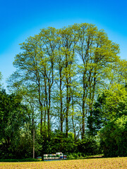 Fototapeta premium Bienenkästen im Feld