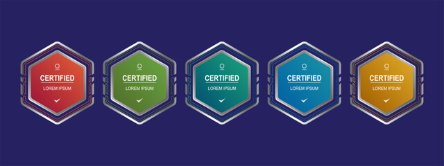 Certificate badge hexagon template for business company vector illustration