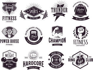 vintage badges logo drawing vector design
