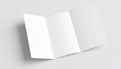 Blank Trifold Brochure Mockup