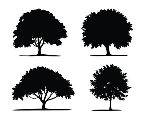 Modern Flat Linden Tree Silhouette Vector EPS File