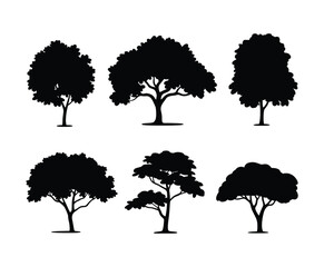 Silhouette Vector Template of Linden Tree Illustration