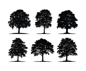 Simple Linden Tree Silhouette Design Template