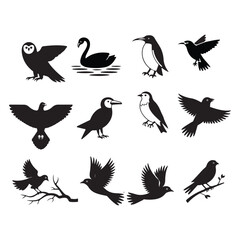 A collection of 12 bird silhouettes in various poses, including owls, swans, penguins, and different types of birds in flight.