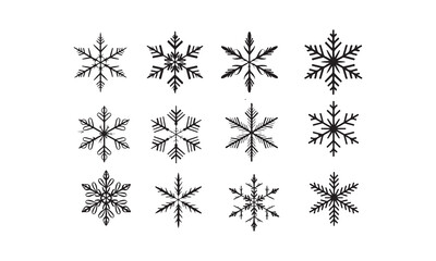 This collection features twelve unique, detailed snowflake silhouettes. on white