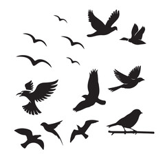 set of birds