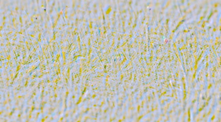 Intentional Illustration Grass Peace Patch Blurred Flecks Pastel Colours.