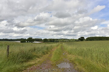 Fototapeta premium Chemin pour le passages des engins agricoles sous des gros cumulus gris à Écaussinnes-d'Enghien (Soignies)