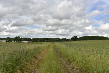 Chemin pour le passages des engins agricoles sous des gros cumulus gris à Écaussinnes-d'Enghien...