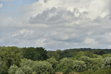 Obraz premium Gros cumulus gris au dessus d'une forêt à Écaussinnes-d'Enghien (Soignies)