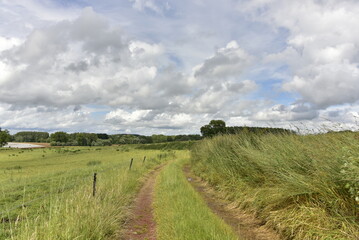 Obraz premium Chemin pour le passages des engins agricoles sous des gros cumulus gris à Écaussinnes-d'Enghien (Soignies)
