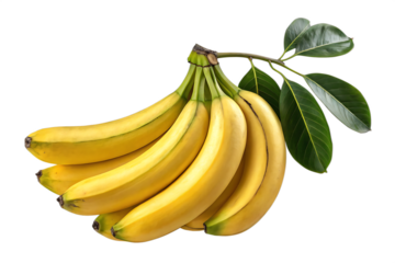 Bunch of bananas isolated on transparent background.PNG