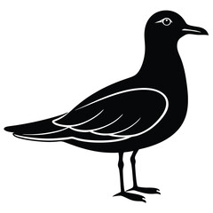 Adobe Illustrator ArtSea Birds, Pelican, Seagull, Crane Backgroundwork