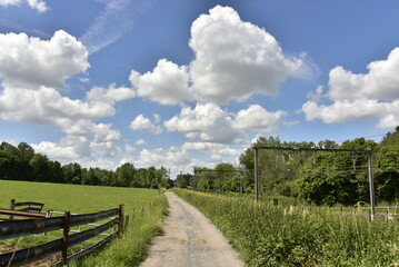 Chemin de campagne le long d'un pâturage sous les cumulus de beau temps à Écaussinnes-d'Enghien...