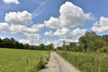 Chemin de campagne le long d'un pâturage sous les cumulus de beau temps à Écaussinnes-d'Enghien...