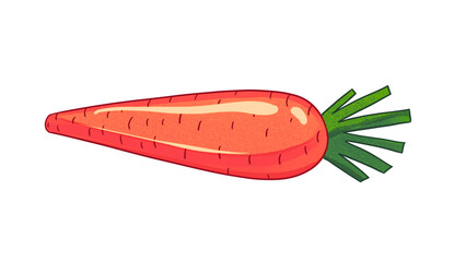 Red, sleek-shape carrot on transparent background