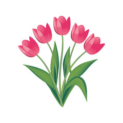 bouquet of tulips
