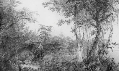 Selbstklebende Fototapeten Grau Botanical fresco  © kamil_siu_art