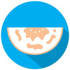 Isolated slice of a melon icon Vector