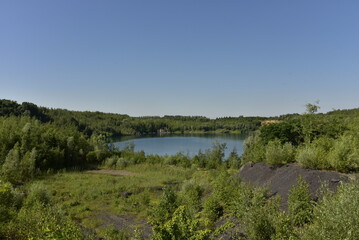 Végétation sauvage et terrain accidenté près d'une ancienne carrière remplie d'eau à Écaussinnes-d'Enghien (Soignies)