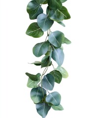 A cascading garland of muted green leaves, creating a vertical display.  The foliage is densely packed, with leaves of varying sizes and shapes, hanging in a flowing pattern